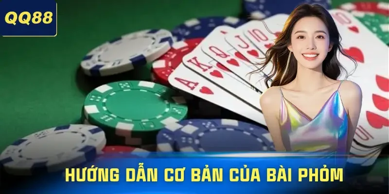 bai-phom-thong-tin-co-ban