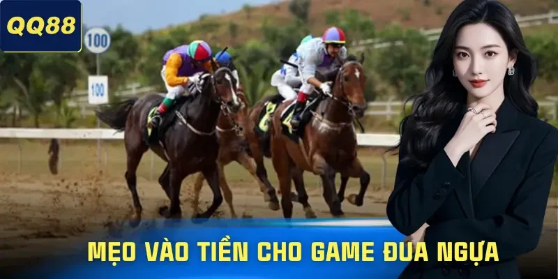 dua-ngua-qq88-meo-choi